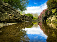 Reflection Peoples Park