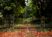 Autumn Gates