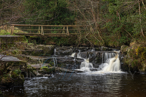 Cathole Falls