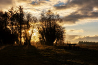 Derryounce Morning