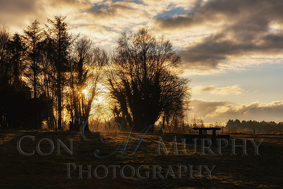 Derryounce Morning