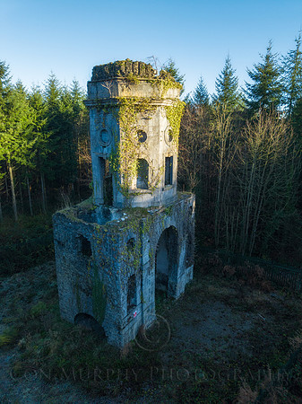 The Folly Emo