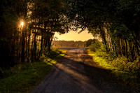 Derryounce Walkway