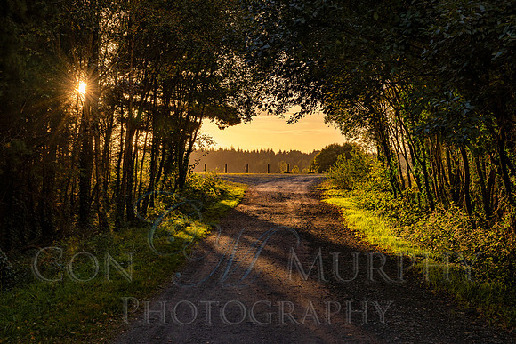 Derryounce Walkway