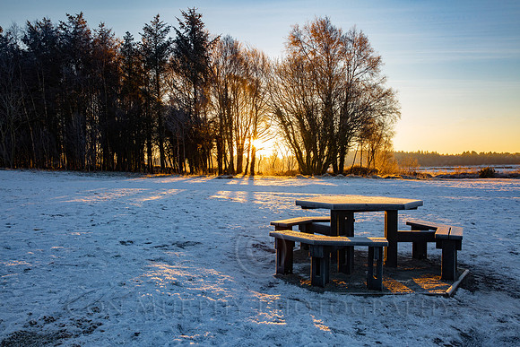 The Picnic Bench