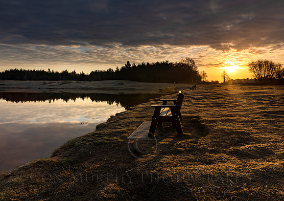 Light On The Bench