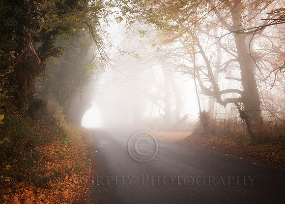 The Fog Ballymorris